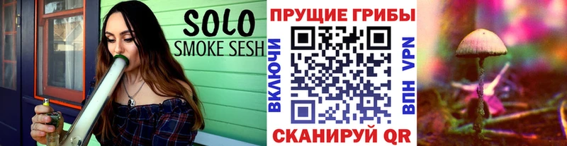Купить закладки  Кинешма  Галлюциногенные грибы GOLDEN TEACHER 